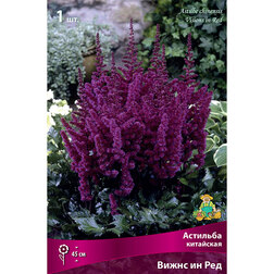 ����  �������� ��������� (����� �� ���), ������ �� 336 ���