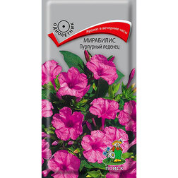 ����  ��������� ��������� �������, ������ �� 26 ���