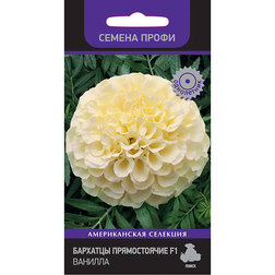 ����  �������� ������������ F1 ������� (������ �����), ������ �� 340 ���