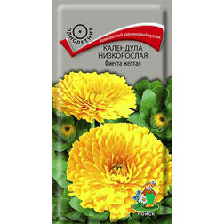 ����  ��������� ����������� ������ ������, ������ �� 27 ���