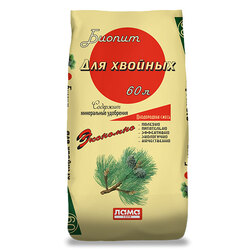 ����  ����� ��� �������