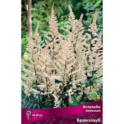 ����  �������� �������� ���������, ������ �� 306 ���