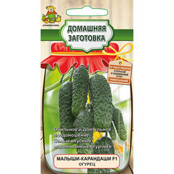 ����  ������ ������-��������� F1 (�������� ���������), ������ �� 40 ���