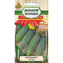 ����  ������ ��������� F1 (�������� ���������), ������ �� 39 ���