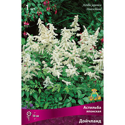 ����  �������� �������� ��������, ������ �� 263 ���