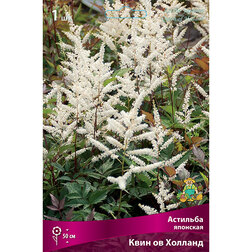 ����  �������� �������� ���� �� �������, ������ �� 263 ���