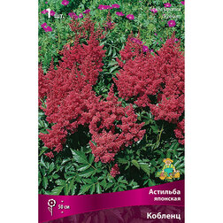 ����  �������� �������� �������, ������ �� 263 ���