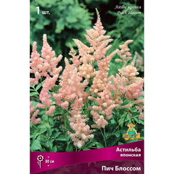 ����  �������� �������� ��� �������, ������ �� 272 ���