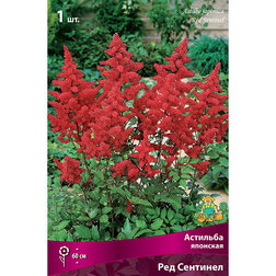 ����  �������� �������� ��� ��������, ������ �� 272 ���