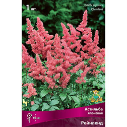 ����  �������� �������� ��������, ������ �� 272 ���