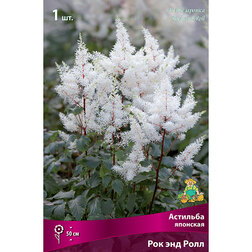 ����  �������� �������� ��� ��� ����, ������ �� 319 ���