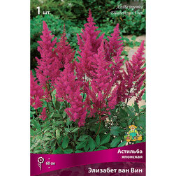 ����  �������� �������� �������� ��� ���, ������ �� 272 ���