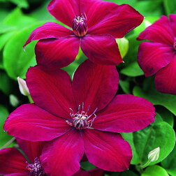 ����  �������� ��������������� ������������ (1-�����), ������ �� 599 ���