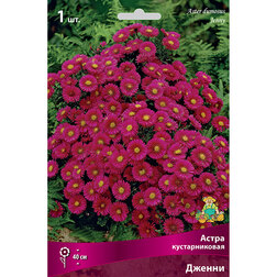 ����  ����� ������������� ������, ������ �� 319 ���