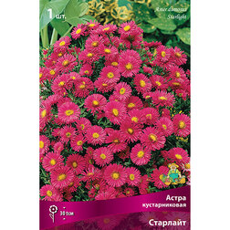 ����  ����� ������������� ��������, ������ �� 319 ���