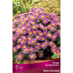 ����  ����� ������������� ���� ������, ������ �� 319 ���