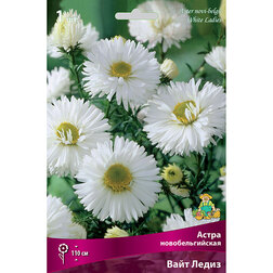 ����  ����� ��������������� ���� �����, ������ �� 328 ���