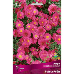 ����  ����� ��������������� ����� ����, ������ �� 319 ���