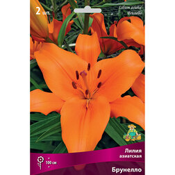 ����  ����� ��������� �������� (2 ��.), ������ �� 258 ���