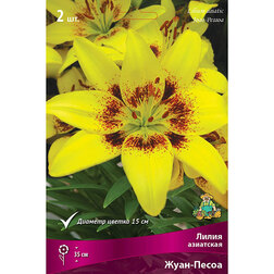 ����  ����� ��������� ����-����� (2 ��.), ������ �� 306 ���