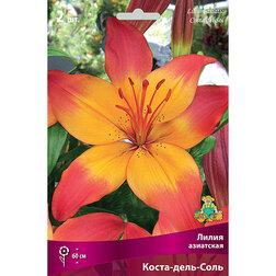 ����  ����� ��������� �����-����-���� (2 ��.), ������ �� 394 ���