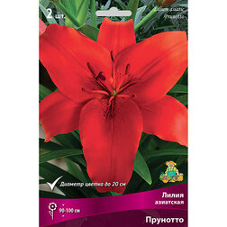 ����  ����� ��������� �������� (2 ��.), ������ �� 306 ���