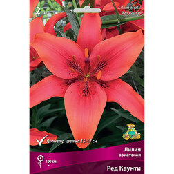 ����  ����� ��������� ��� ������ (2 ��.), ������ �� 319 ���