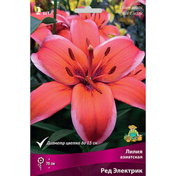 ����  ����� ��������� ��� �������� (2 ��.), ������ �� 370 ���