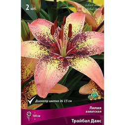 ����  ����� ��������� ������� ���� (2 ��.), ������ �� 394 ���