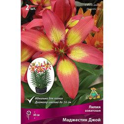 ����  ����� ��������� ��������� ��������� ���� (2 ��.), ������ �� 299 ���