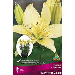 ����  ����� ��������� ��������� ������� ���� (2 ��.), ������ �� 394 ���