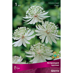 ����  ��������� ������� �����, ������ �� 535 ���