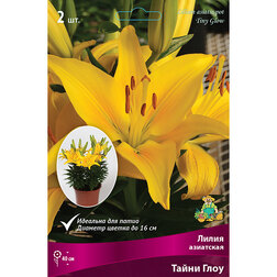 ����  ����� ��������� ��������� ����� ���� (2 ��.), ������ �� 299 ���