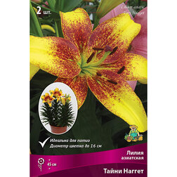 ����  ����� ��������� ��������� ����� ������ (2 ��.), ������ �� 299 ���