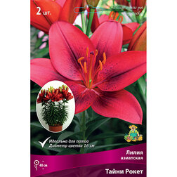 ����  ����� ��������� ��������� ����� ����� (2 ��.), ������ �� 299 ���