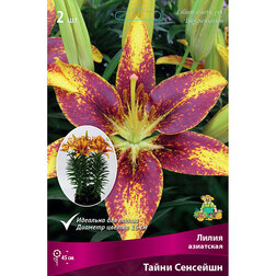 ����  ����� ��������� ��������� ����� �������� (2 ��.), ������ �� 299 ���