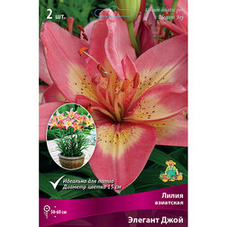 ����  ����� ��������� ��������� ������� ���� (2 ��.), ������ �� 299 ���