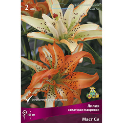 ����  ����� ��������� �������� ���� �� (2 ��.), ������ �� 462 ���