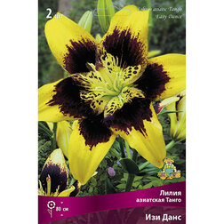 ����  ����� ��������� ����� ��� ���� (2 ��.), ������ �� 462 ���