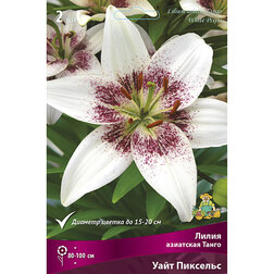 ����  ����� ��������� ����� ���� �������c (2 ��.), ������ �� 387 ���