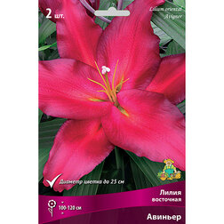 ����  ����� ��������� ������� (2 ��.), ������ �� 370 ���