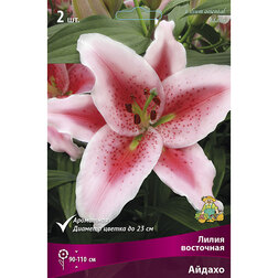 ����  ����� ��������� ������ (2 ��.), ������ �� 319 ���