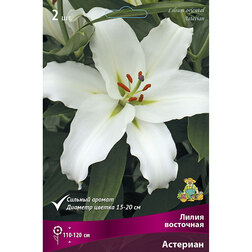 ����  ����� ��������� �������� (2 ��.), ������ �� 319 ���