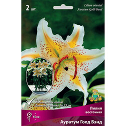 ����  ����� ��������� ������� ���� ���� (2 ��.), ������ �� 462 ���