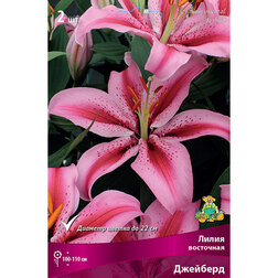 ����  ����� ��������� �������� (2 ��.), ������ �� 380 ���