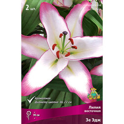 ����  ����� ��������� �� ��� 2 ��., ������ �� 370 ���