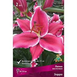 ����  ����� ��������� ����� (2 ��.), ������ �� 370 ���