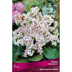 ����  ����� ��������� ���������� ����, ������ �� 654 ���