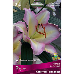 ����  ����� ��������� ������� �������� (2 ��.), ������ �� 493 ���