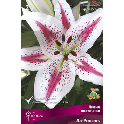 ����  ����� ��������� ��-������ (2 ��.), ������ �� 370 ���